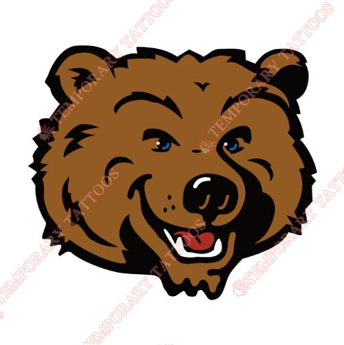 UCLA Bruins Customize Temporary Tattoos Stickers NO.6641